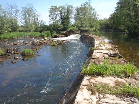 Ballyclough weir